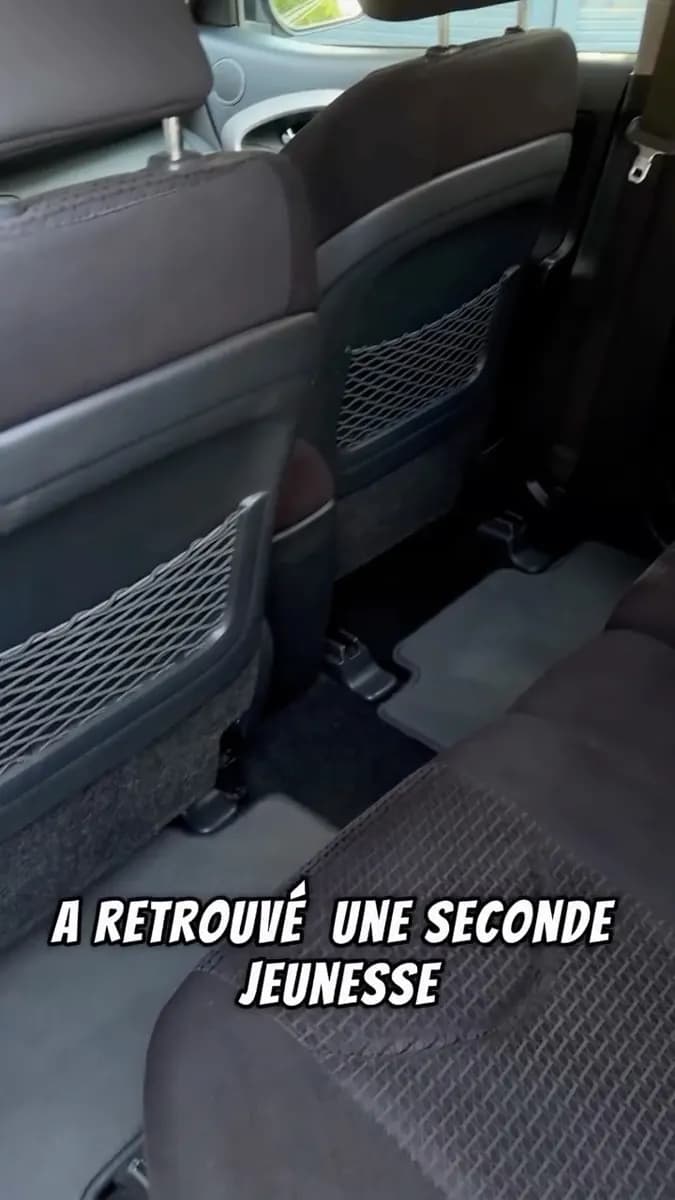 Habitacle envahi de poils de chien : nettoyage intérieur par Lustr'Auto 31
