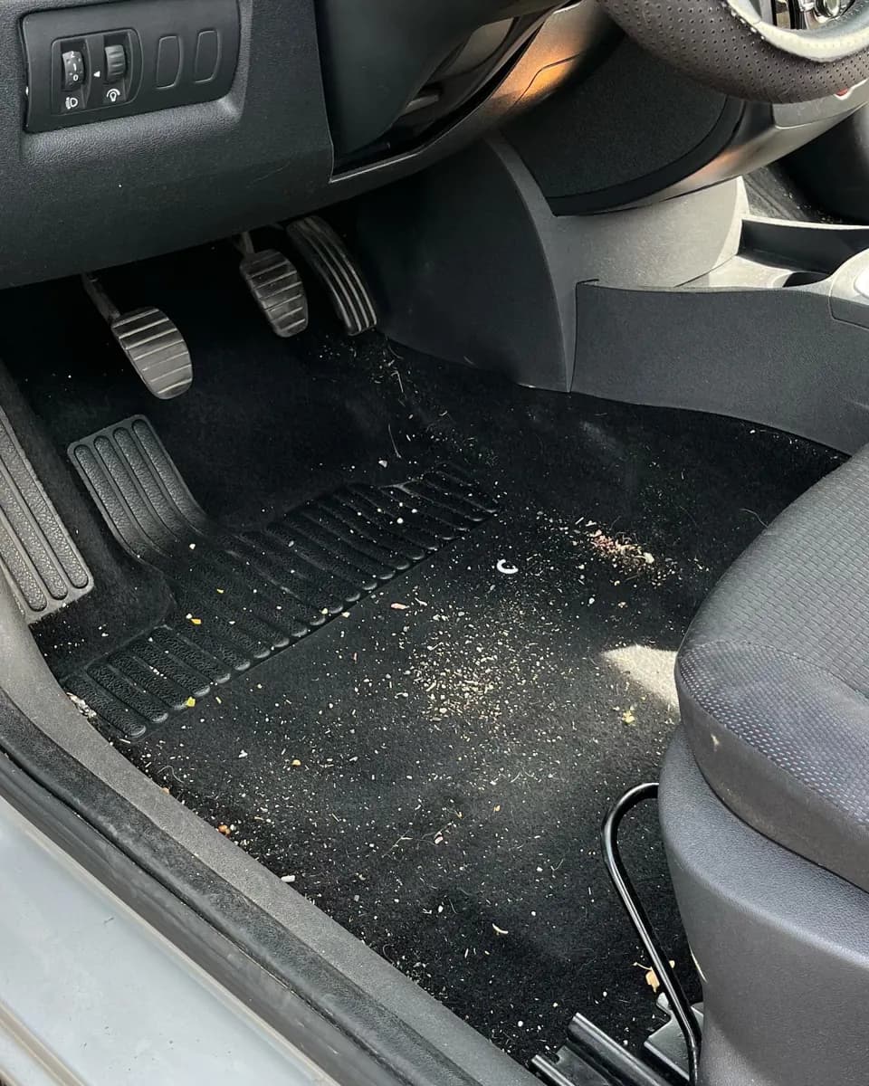 Renault Clio III : nettoyage intérieur par Lustr'Auto 31