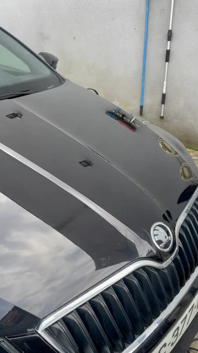 Skoda : polissage & lustrage par Lustr'Auto 31