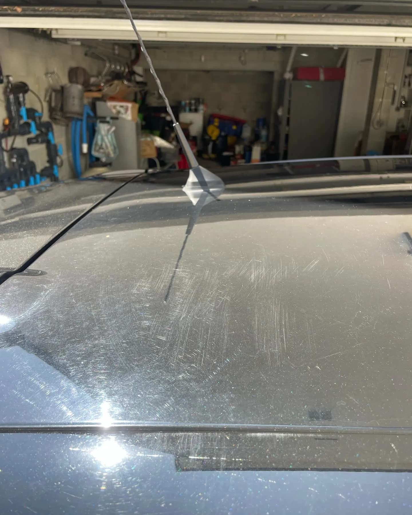 Renault Clio 4, polissage et lustrage : photo 1 sur 5